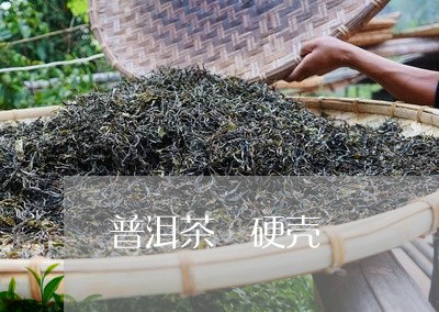 普洱茶 硬壳/2023042844851